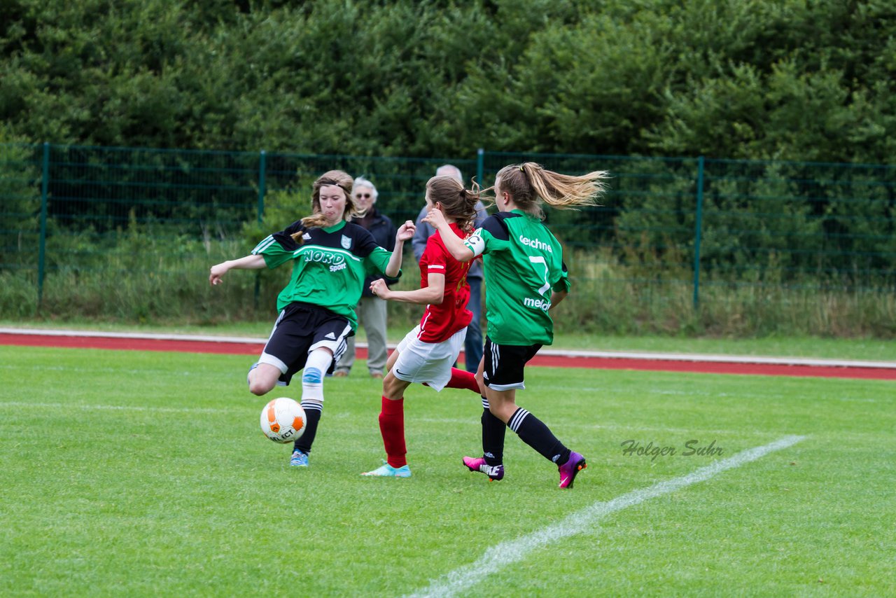 Bild 229 - C-Juniorinnen Landesmeister Finale SV Wahlstedt - TuRa Meldorf : Ergebnis: 1:4